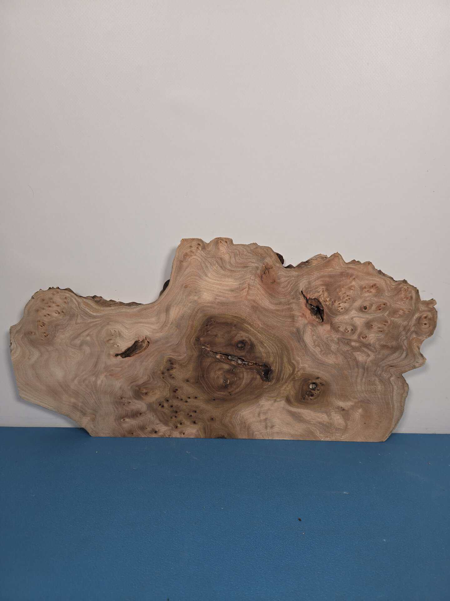 Scottish Burr Elm offcut showing intricate grain and natural edge detail.