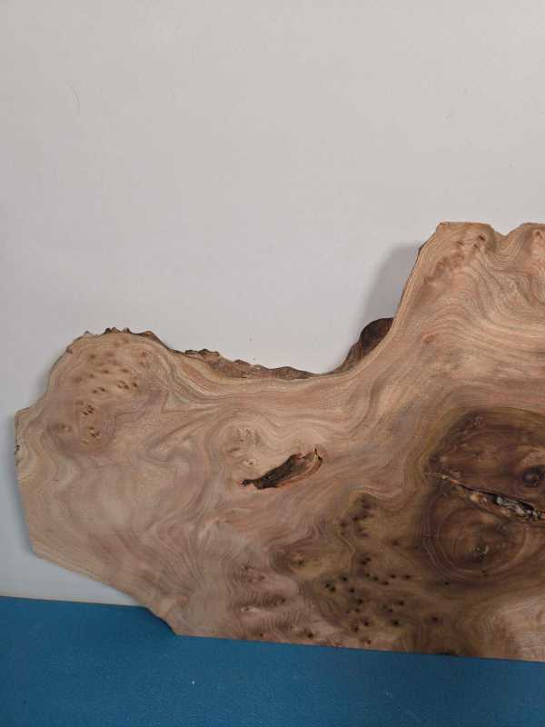 Stunning Burr Elm offcut showing natural grain and irregular shape for woodworking.