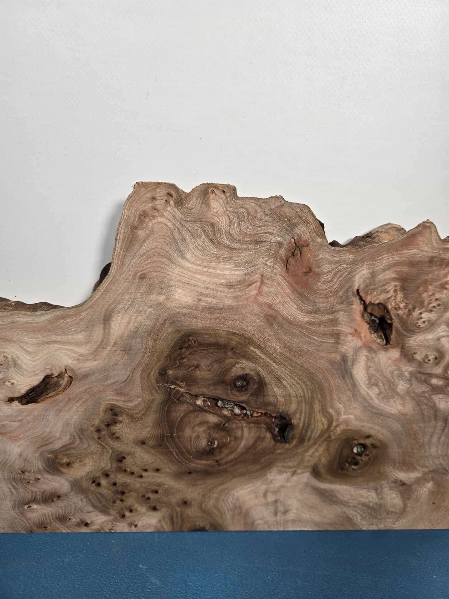 Stunning Burr Elm offcut showing intricate grain and natural wood patterns.