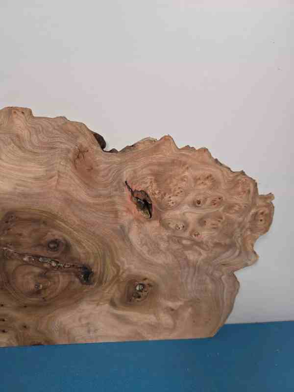 Scottish Burr Elm offcut showing natural grain and burl patterns.