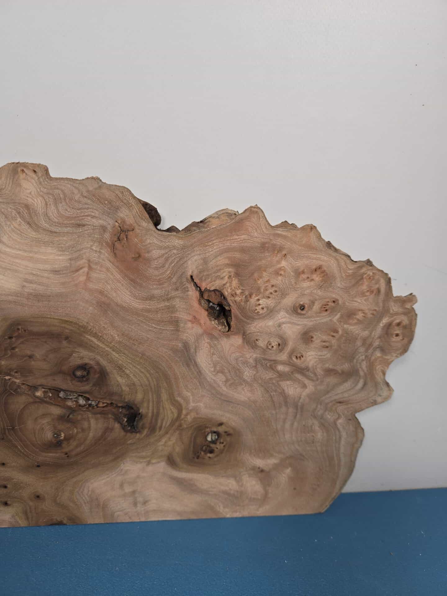 Scottish Burr Elm offcut showing natural grain and burl patterns.