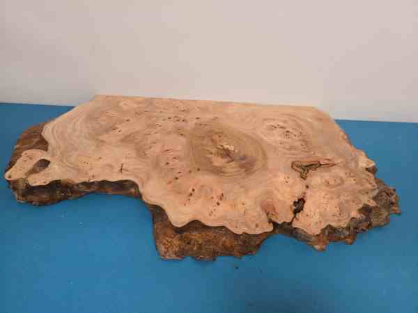 Scottish Burr Elm offcut with natural edge and intricate grain pattern.