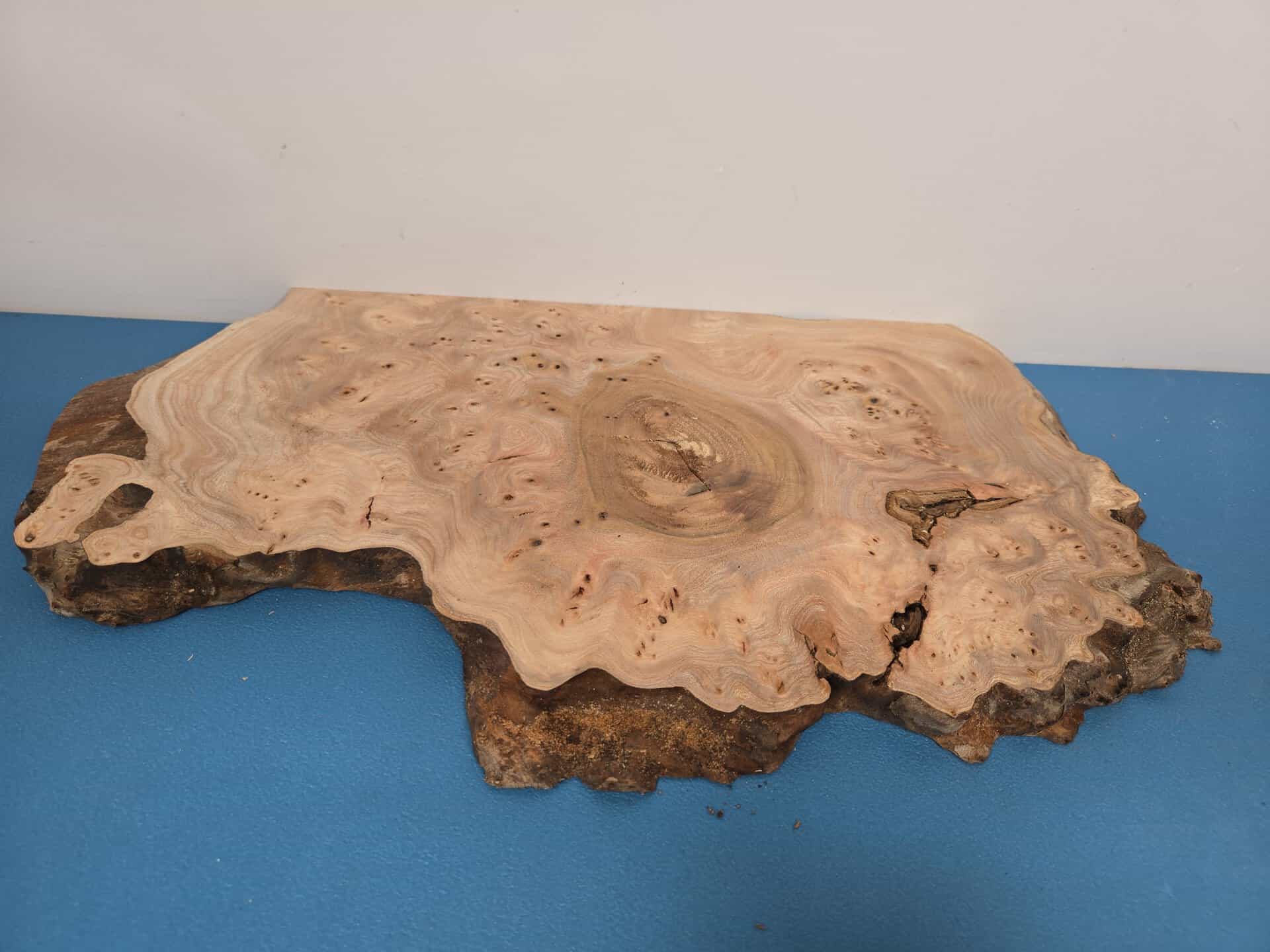 Scottish Burr Elm offcut with natural edge and intricate grain pattern.