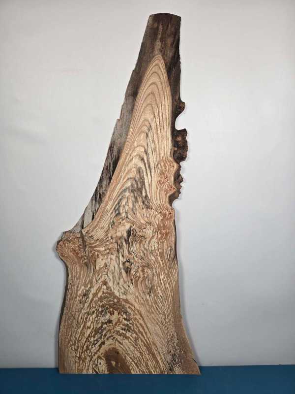 Spalted Elm offcut showing natural grain and spalting effects.