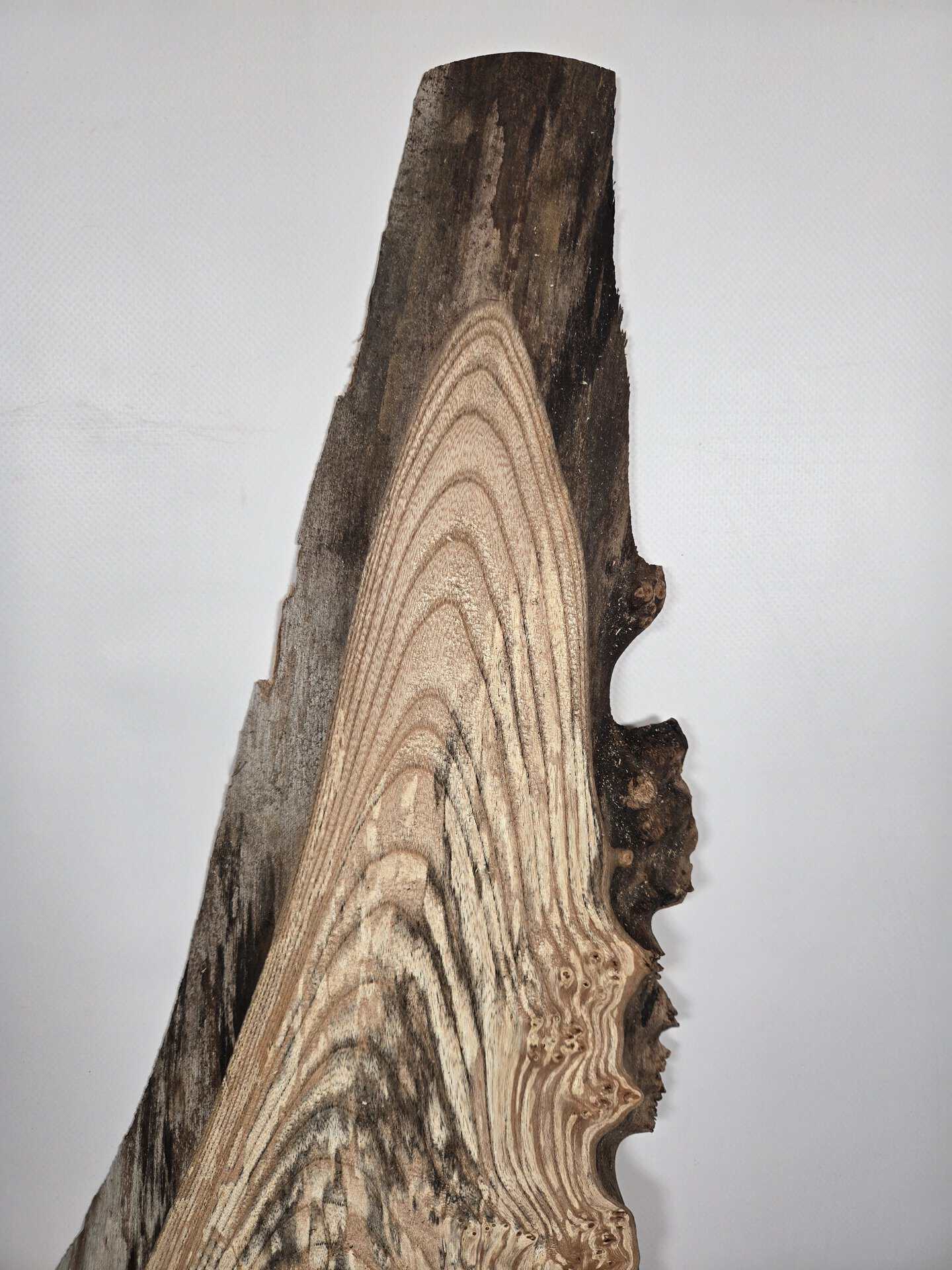 Spalted Elm offcut showing natural grain and spalting effects in timber.