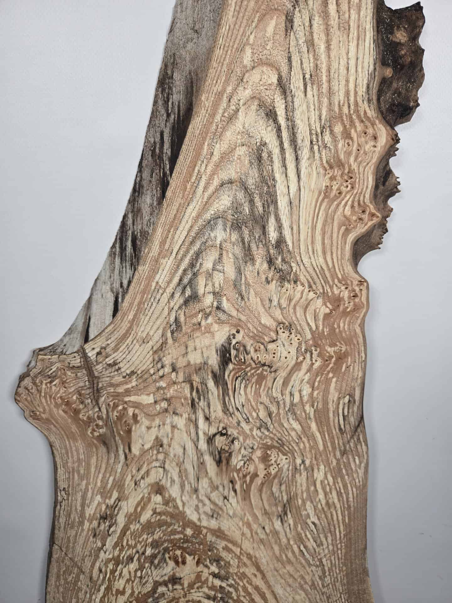 Spalted Elm offcut showing natural grain and spalting effects in timber.