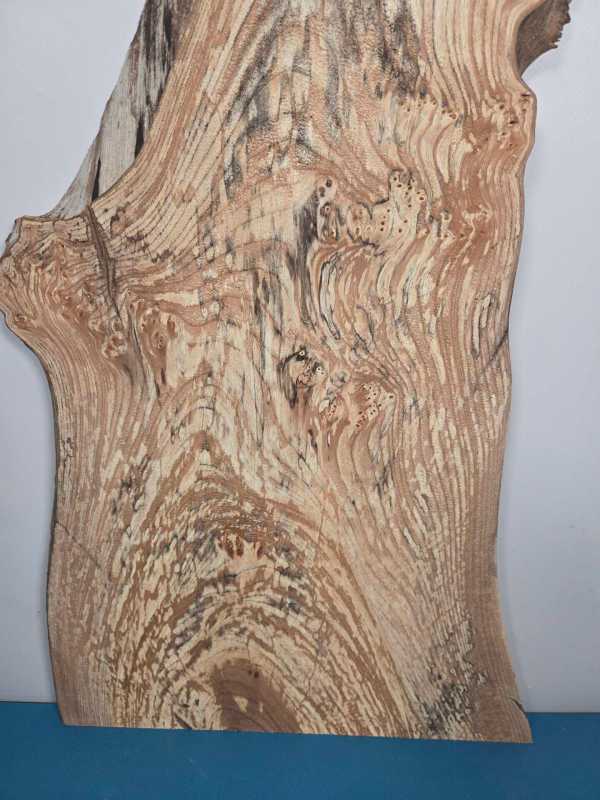 Spalted elm offcut showing natural grain and spalting effects in timber.
