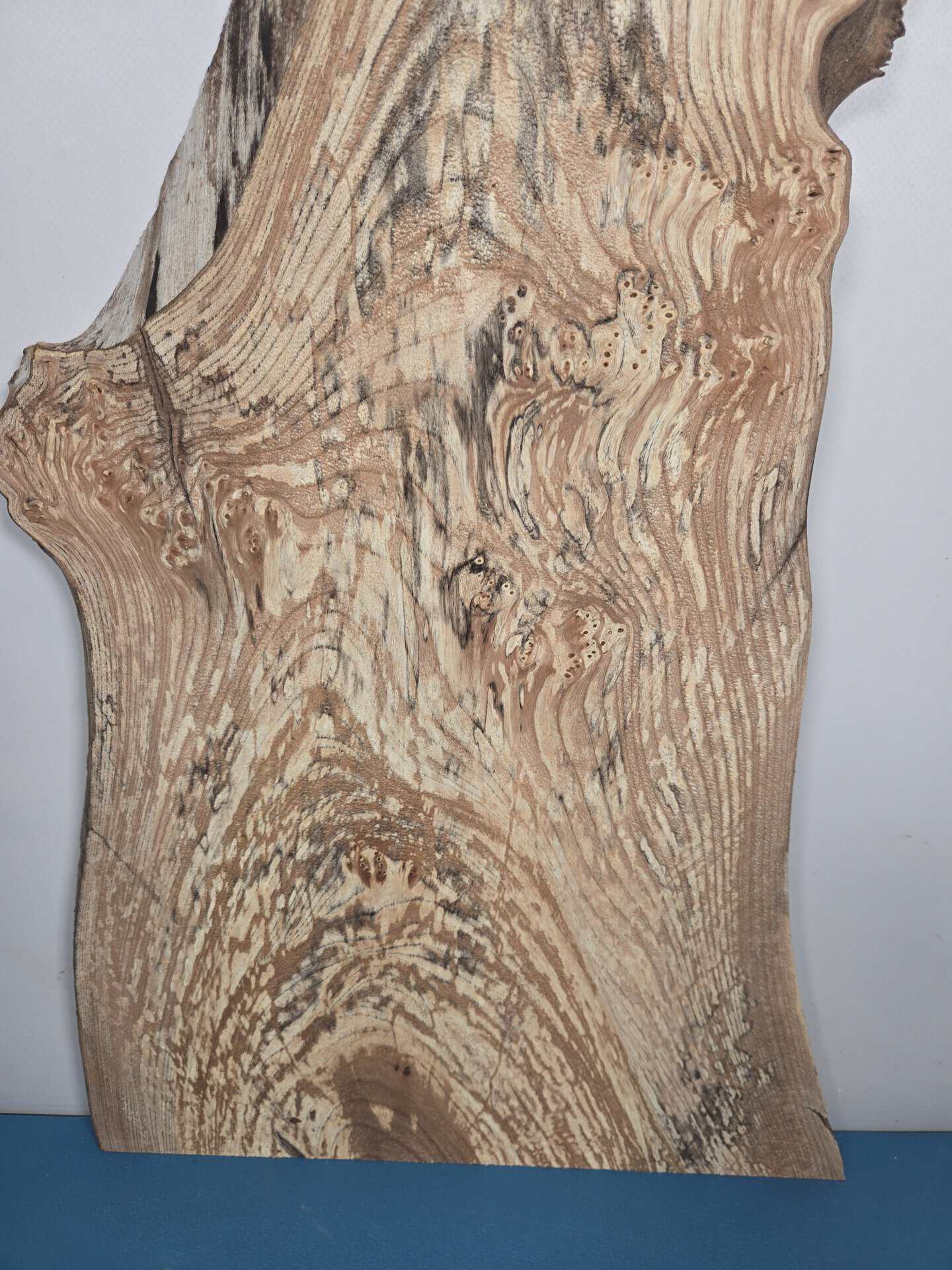 Spalted elm offcut showing natural grain and spalting effects in timber.