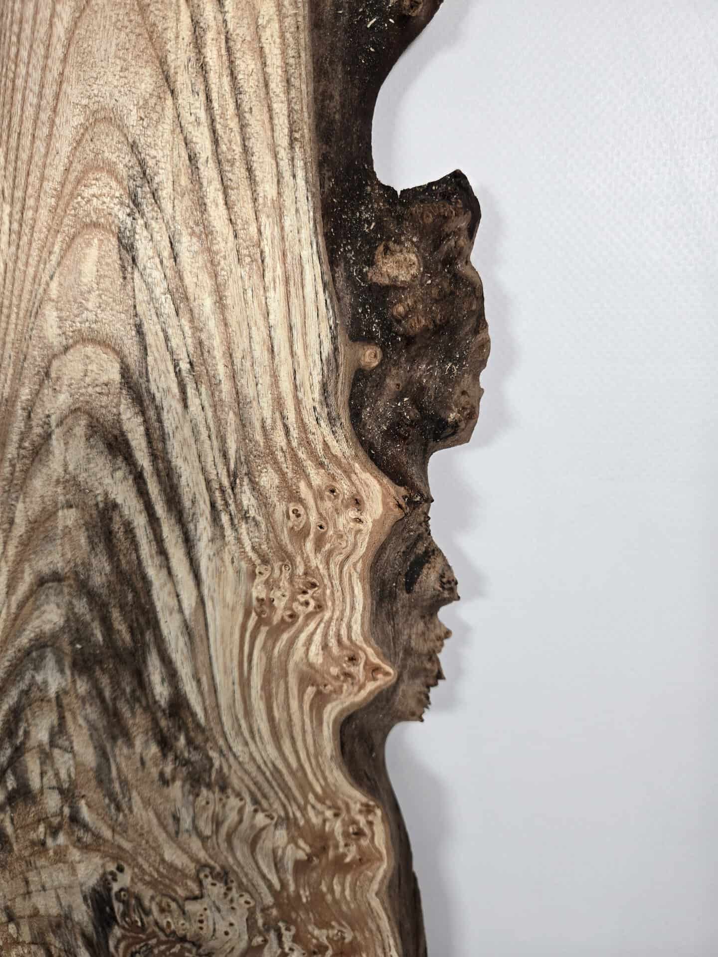 Spalted elm offcut showing distinctive spalting and natural wood grain patterns.