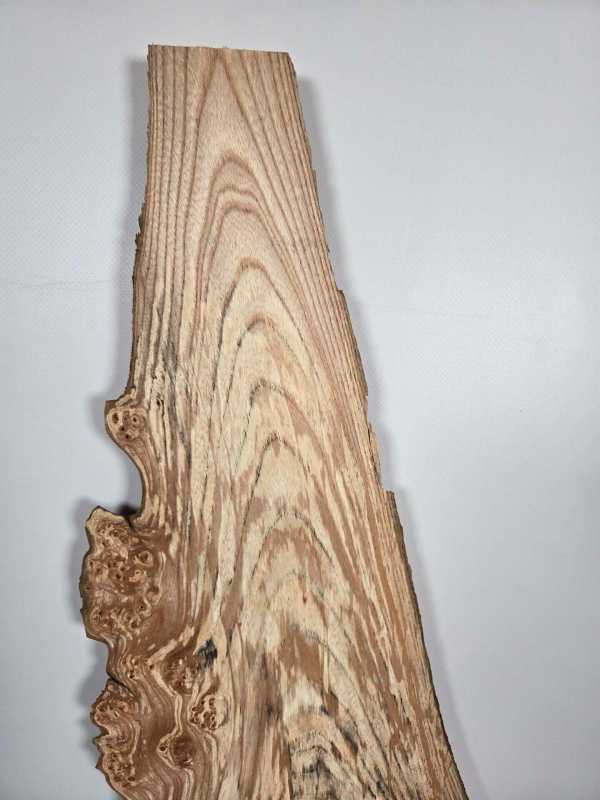 Spalted Elm offcut showing natural grain and unique spalting patterns.