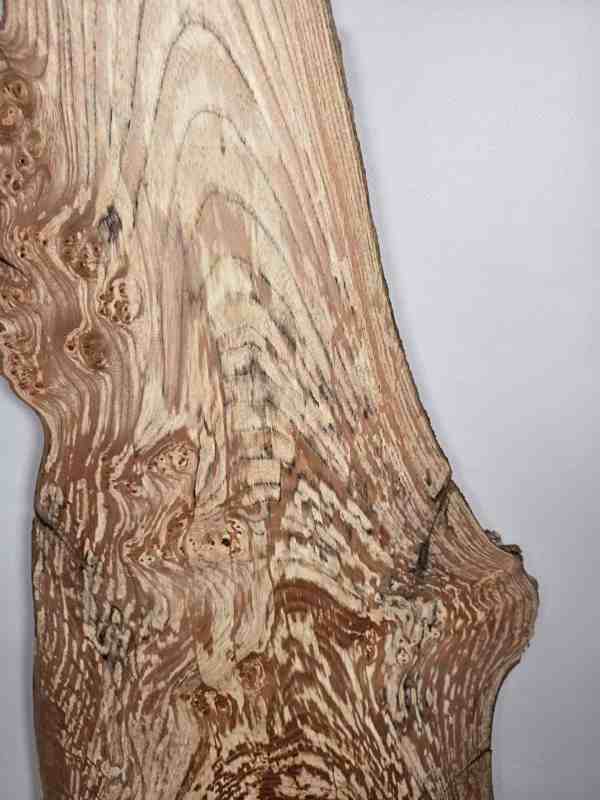 Spalted elm offcut showing intricate grain and spalting patterns in timber.