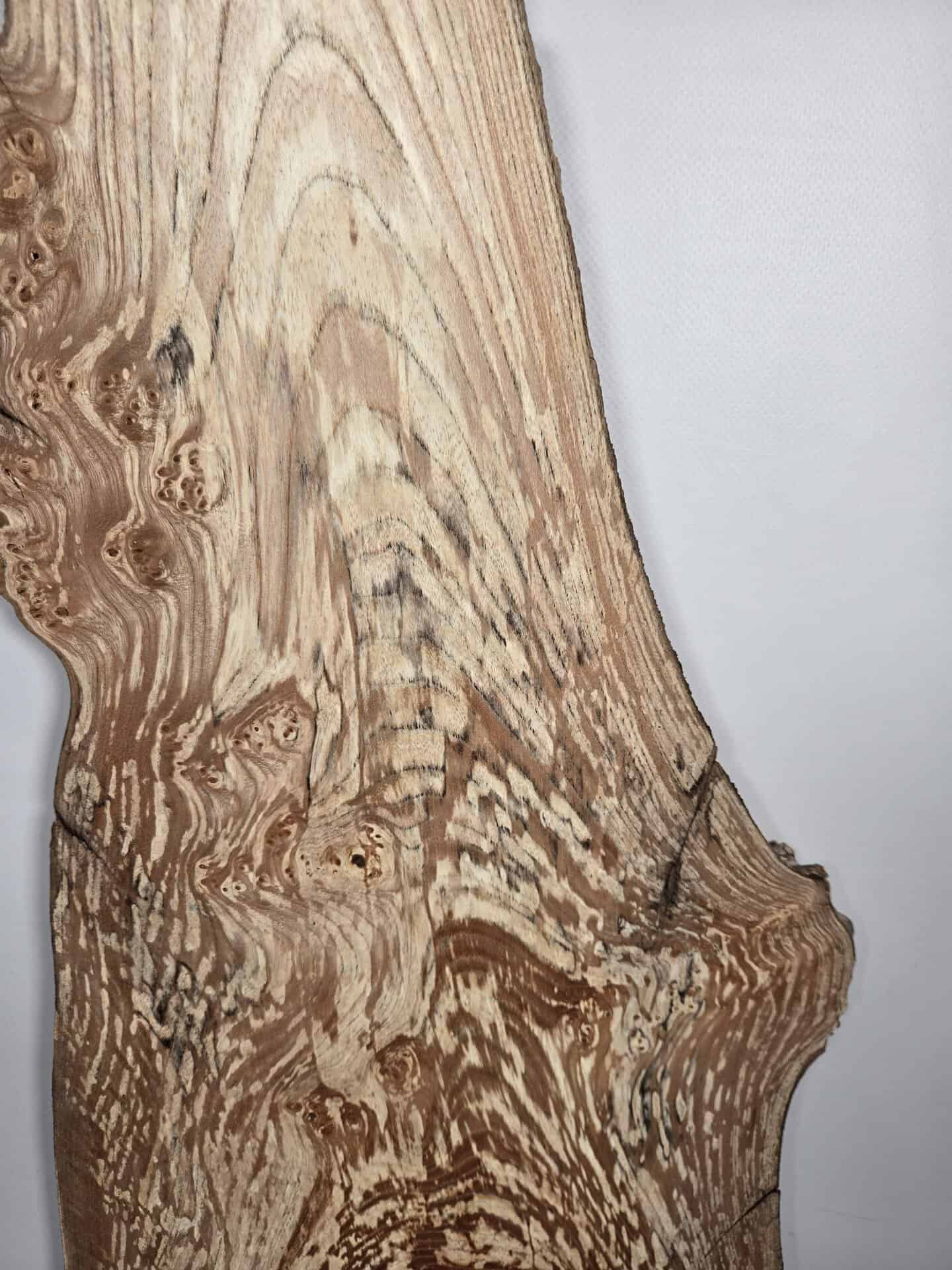 Spalted elm offcut showing intricate grain and spalting patterns in timber.