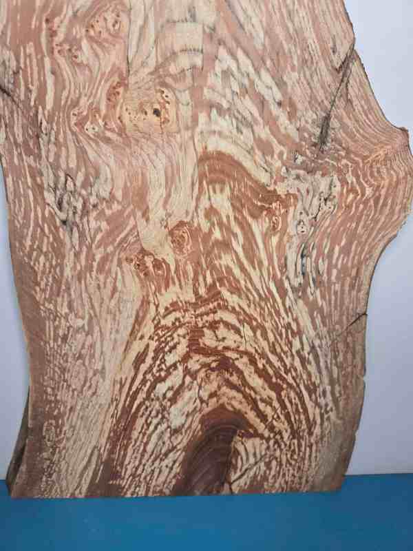 Spalted elm offcut showing intricate grain patterns and natural wood colours.