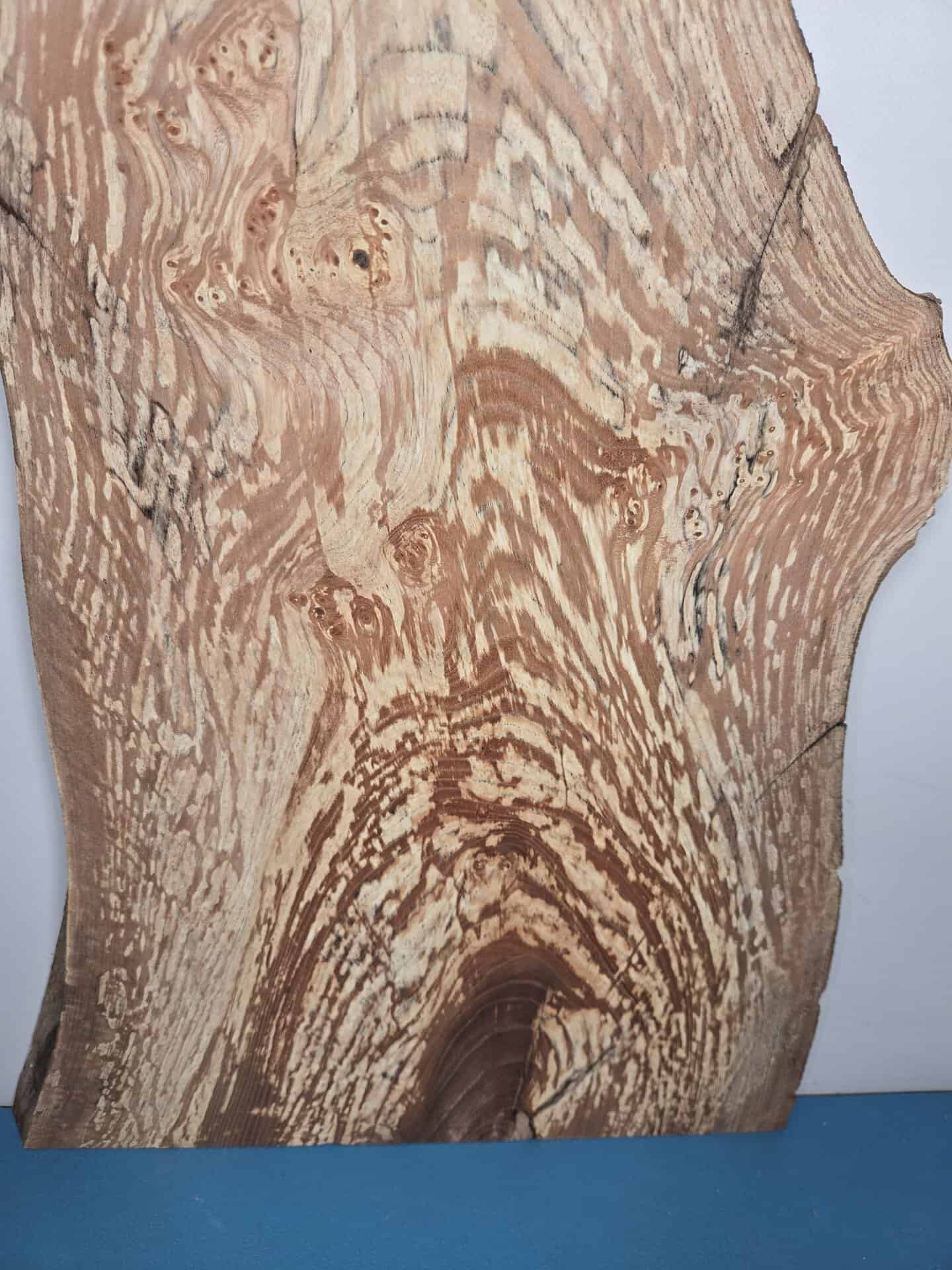 Spalted elm offcut showing intricate grain patterns and natural wood colours.