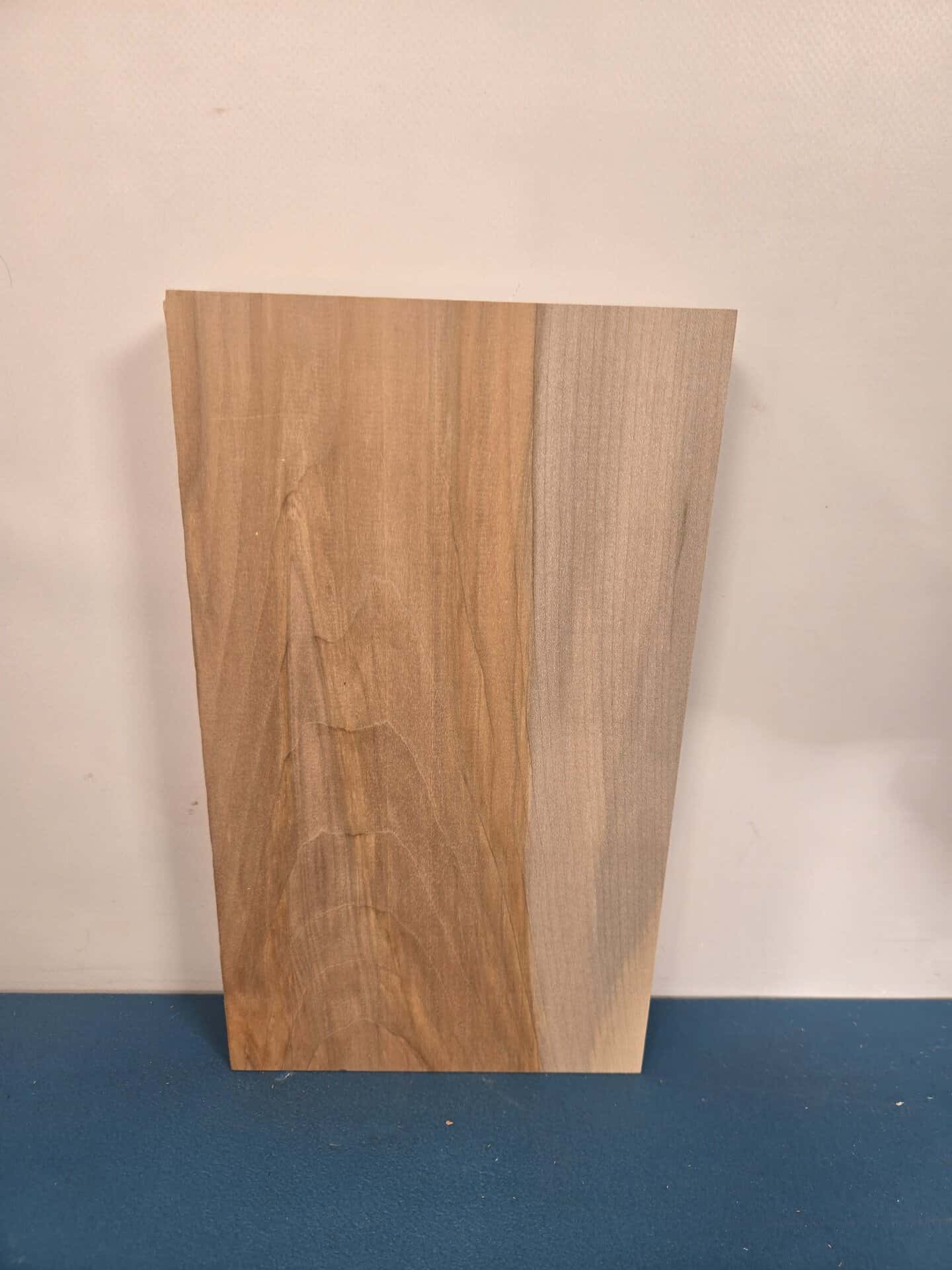 Sycamore Blank