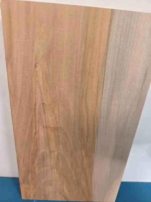 Sycamore Blank