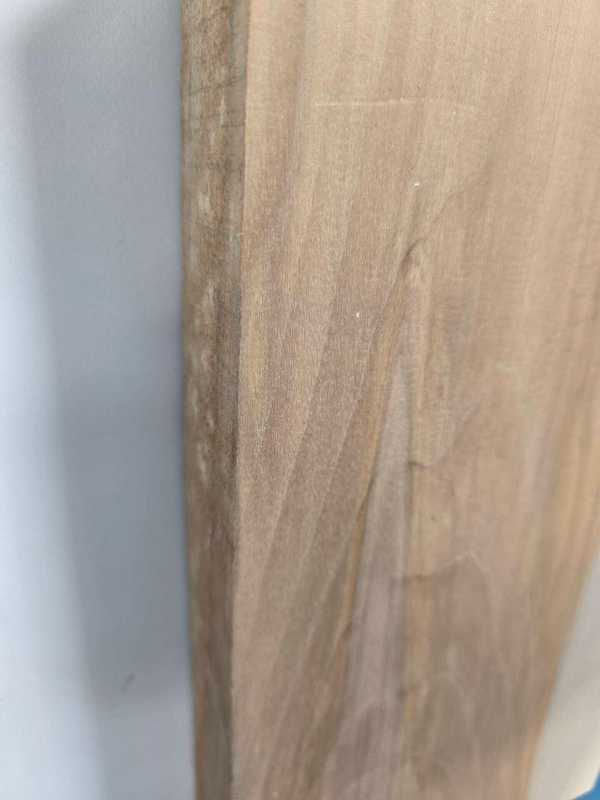 Sycamore Blank