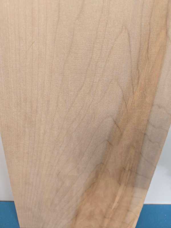Sycamore Blank