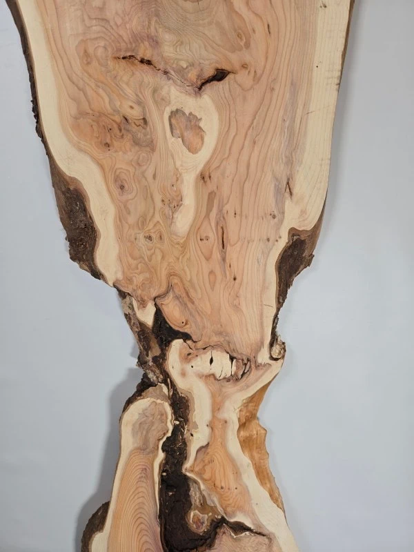 Rustic Yew wood board with natural grain and bark edge, showcasing unique character.