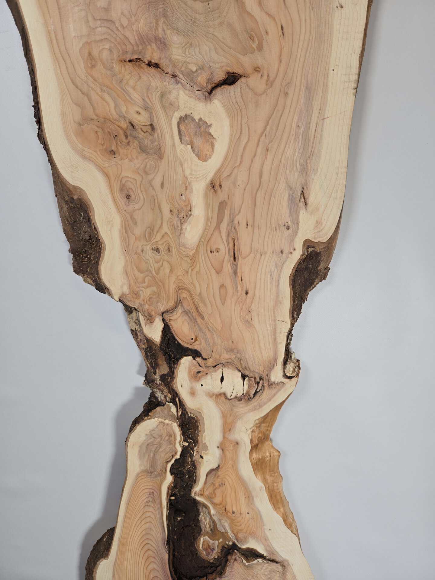 Rustic Yew wood board with natural grain and bark edge, showcasing unique character.