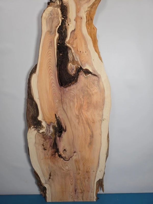 Rustic Yew wood board with natural edges and unique grain patterns.