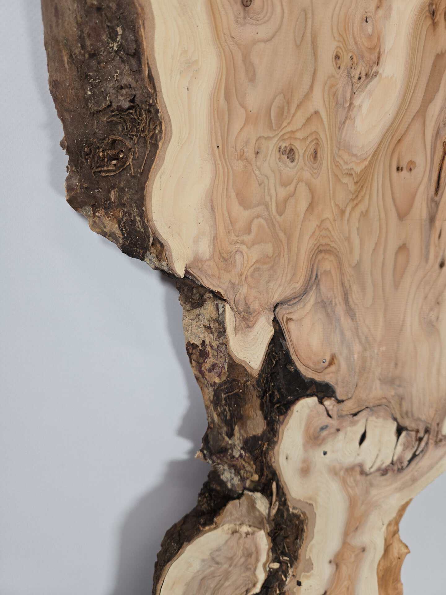 Rustic Yew wood board with natural bark edge and intricate grain pattern.