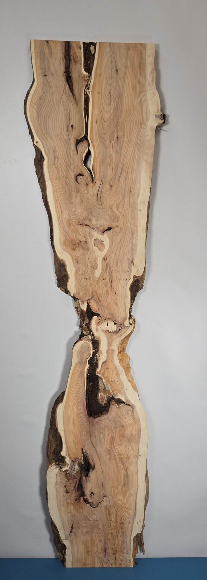 Rustic Yew wood board with natural edges and unique grain pattern.