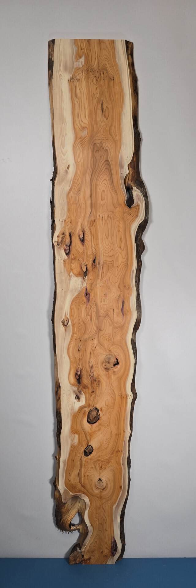 Bold Yew timber board with natural edge and rich grain detail.