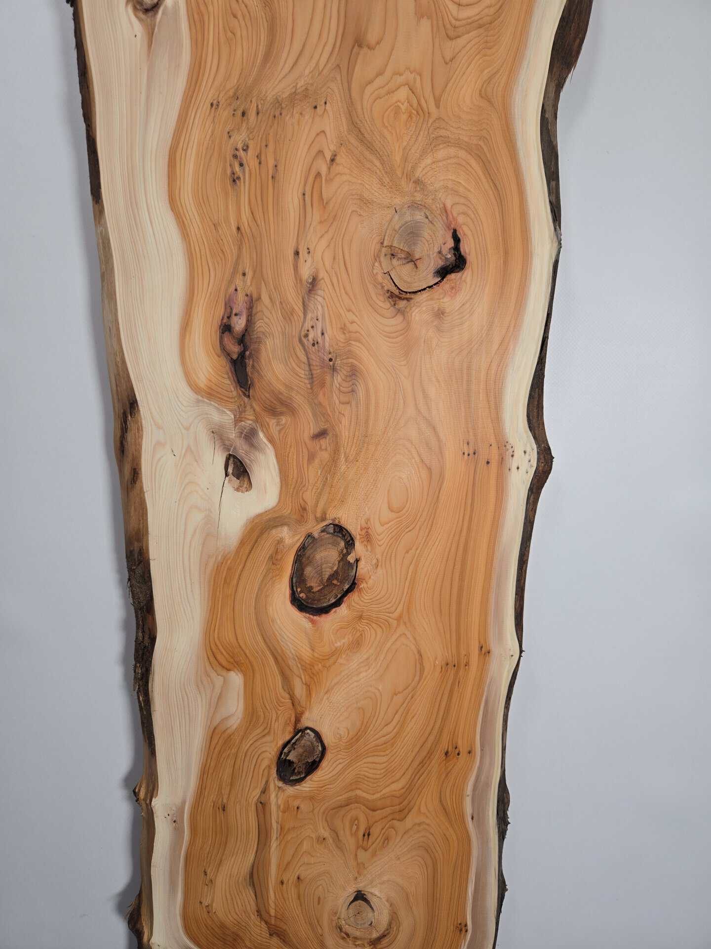 Bold Yew timber board with natural knots and smooth finish for Scottish Wood shop.