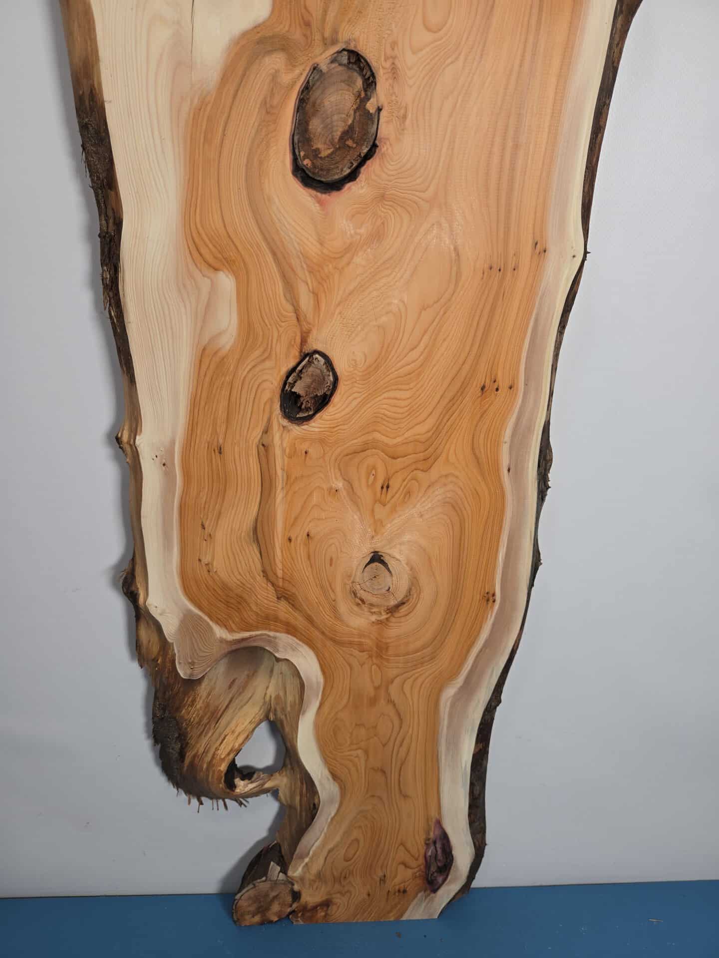 Bold Yew timber board with natural edges and prominent knots for woodworking.