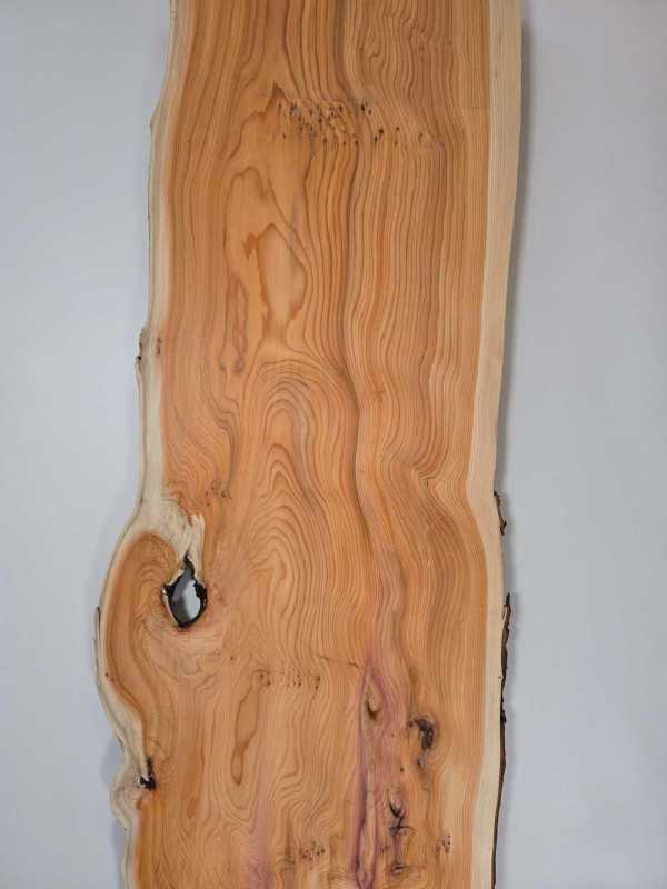 Bold Yew timber board with natural grain and offcut edges for woodworking.