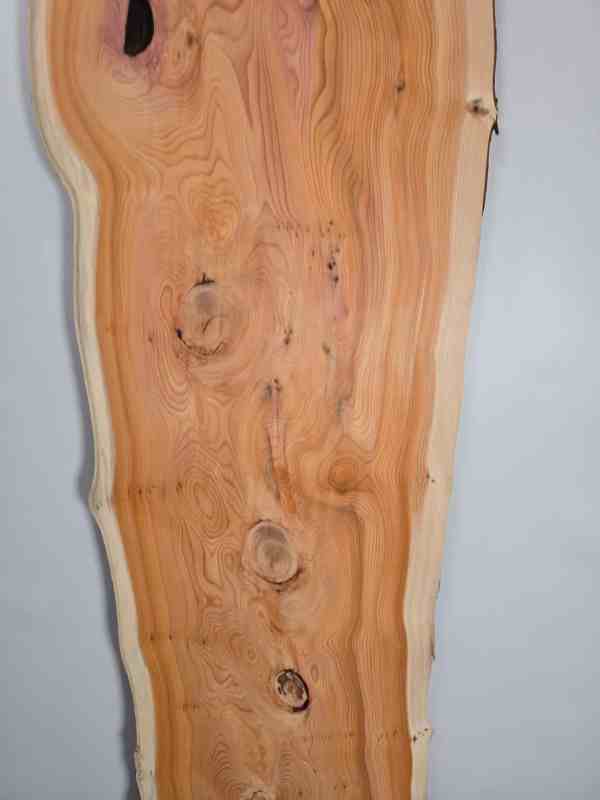 Bold Yew board with natural wood grain and knots, smooth planed surface, no edges.