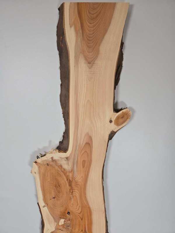 Narrow Yew timber board with natural edges and visible grain pattern.