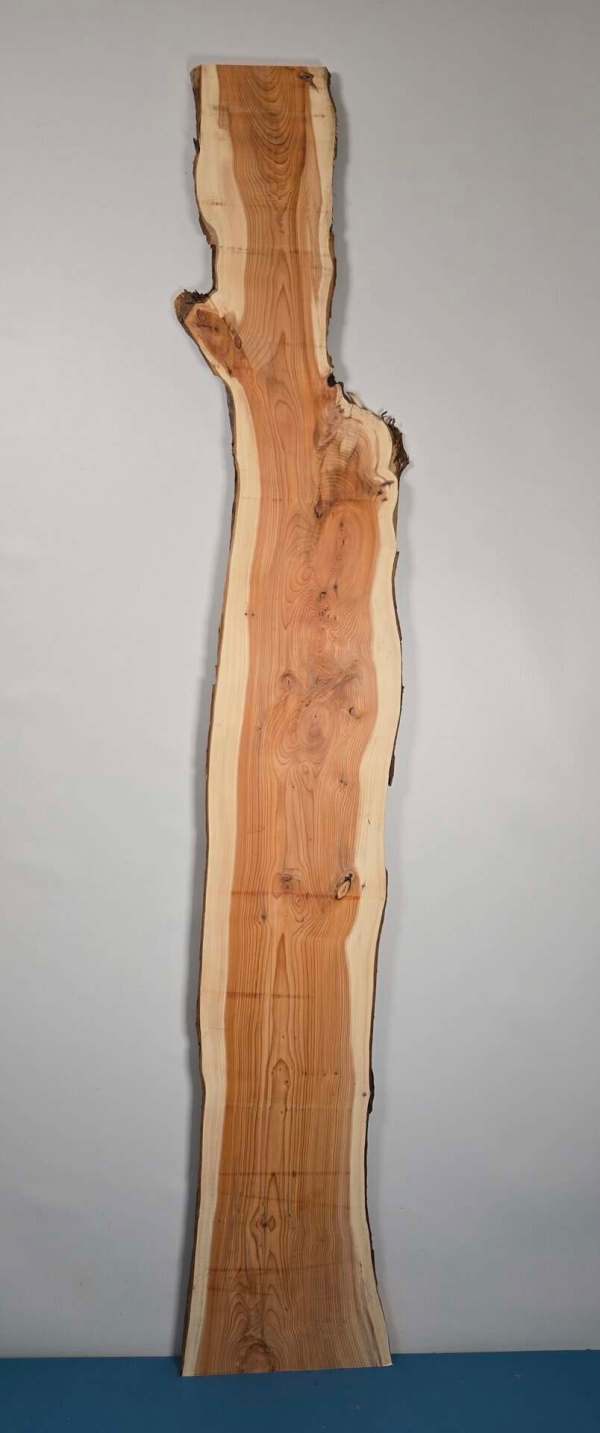 Narrow Yew timber board with natural edges and smooth planed surface.