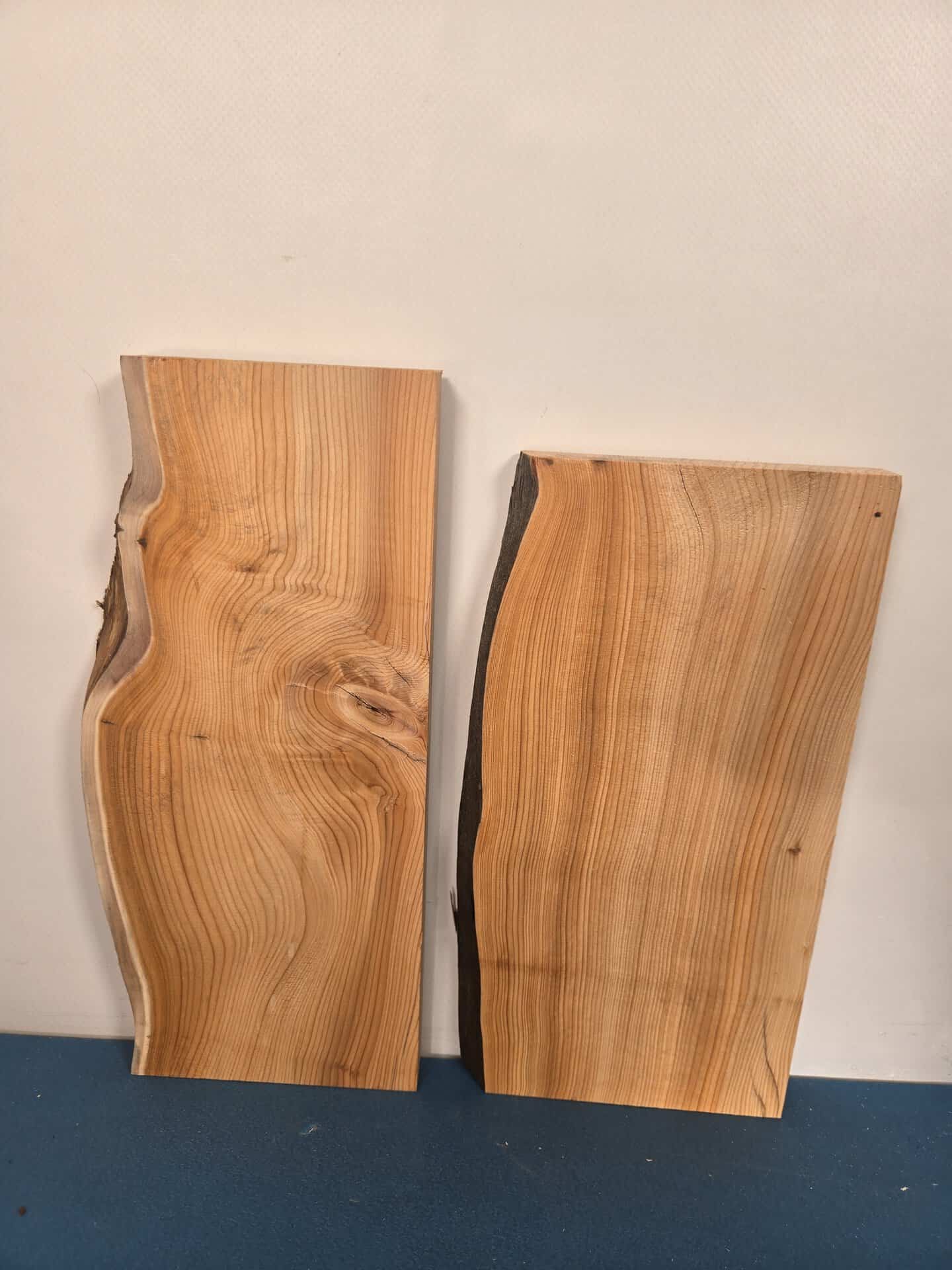 2 Yew Offcuts