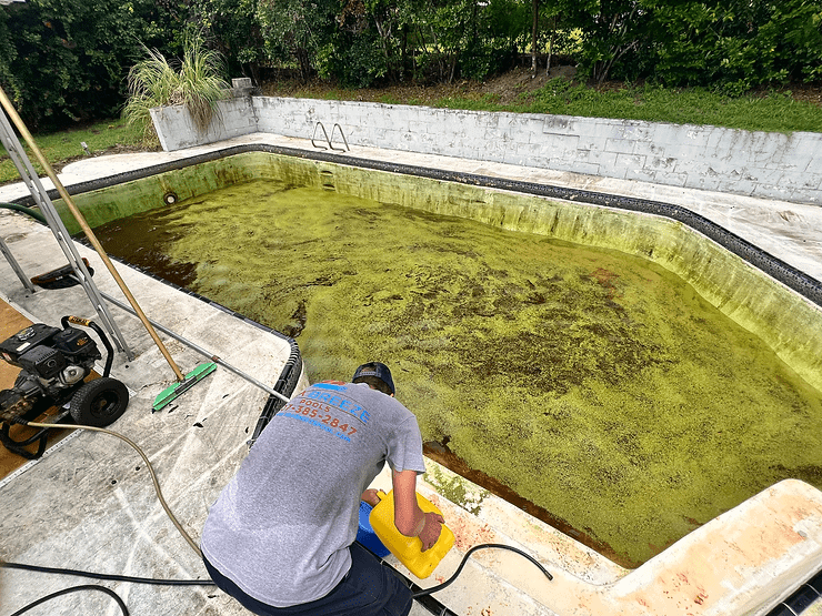 Causes of Algae Buildup & How to Prevent It Happening Again
