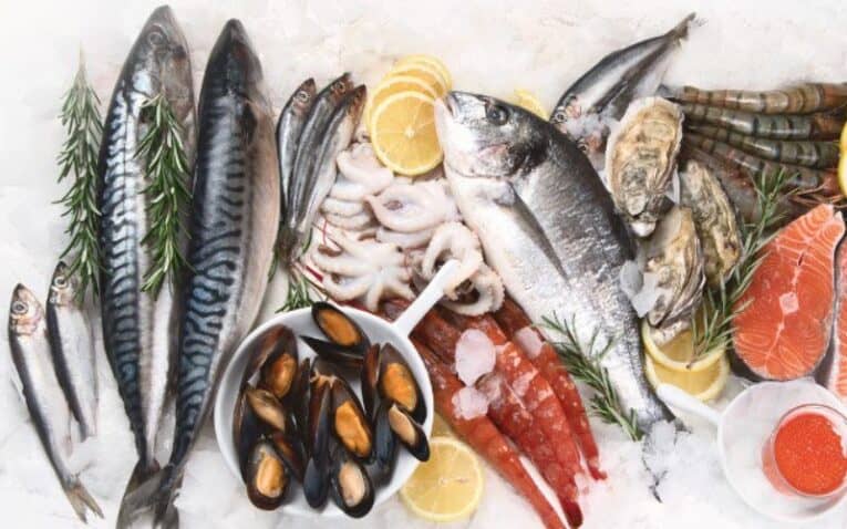 Fish
