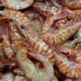 a pile of shrimps