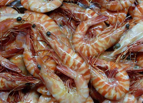 a pile of shrimps
