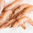 a group of shrimps on ice