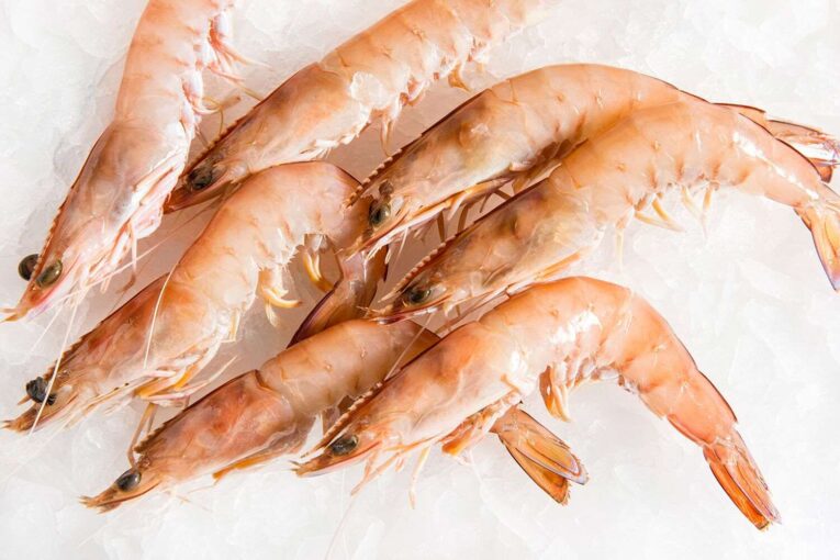 a group of shrimps on ice