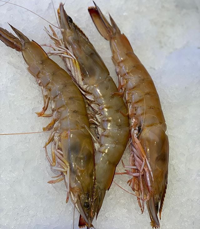a group of shrimps on ice