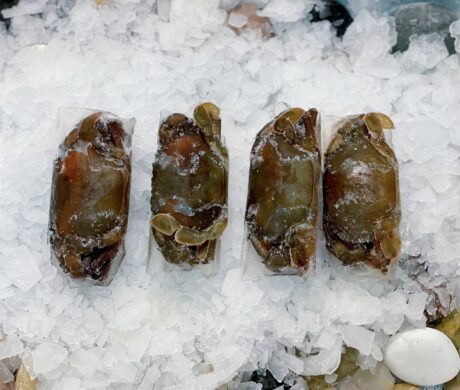 frozen food on ice