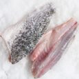 a fish on ice