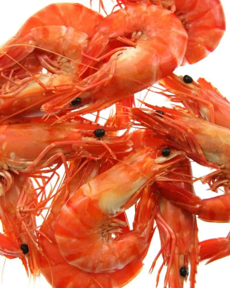 a pile of shrimps