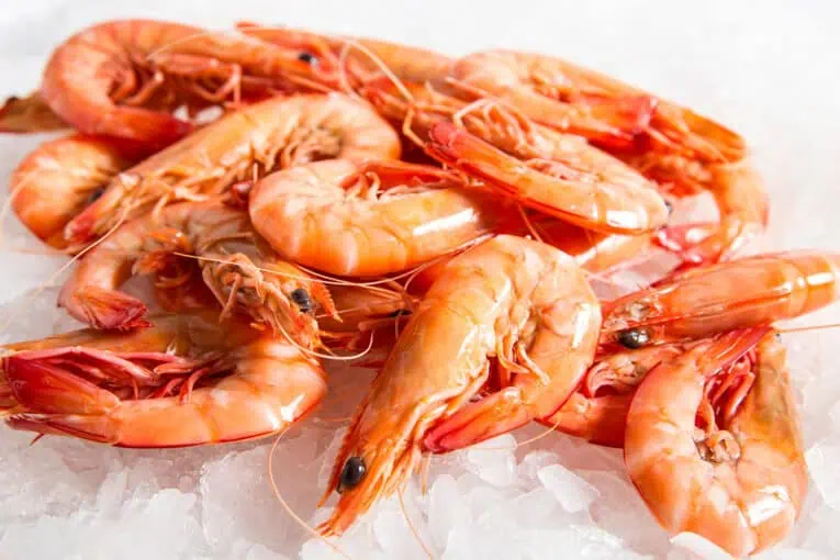 a pile of shrimp on ice
