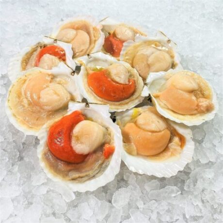 a group of scallops on ice