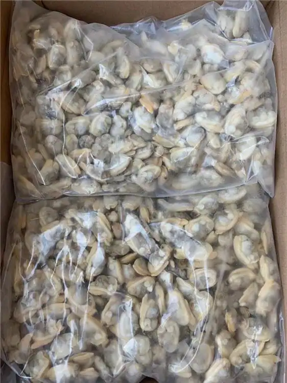 a bag of shells in a box