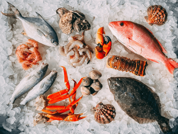 a group of fish and seafood on ice
