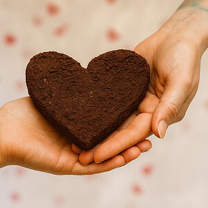 Hände mit Seedball als Herz